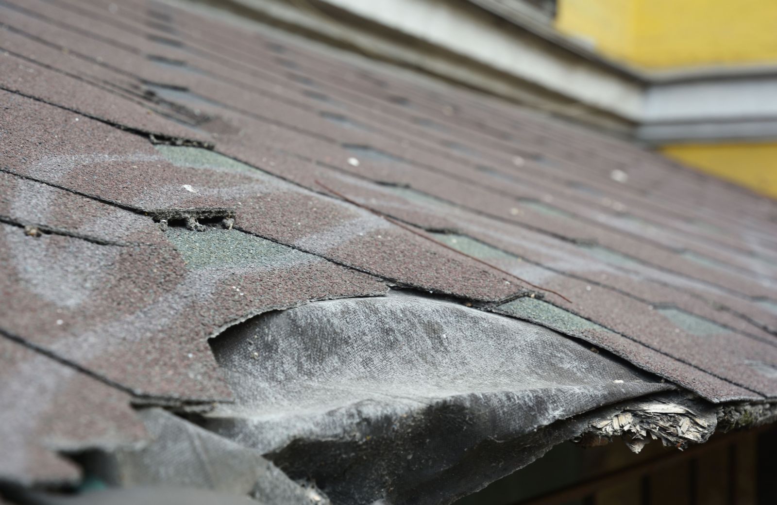 Locke Tight Roofing Systems Images