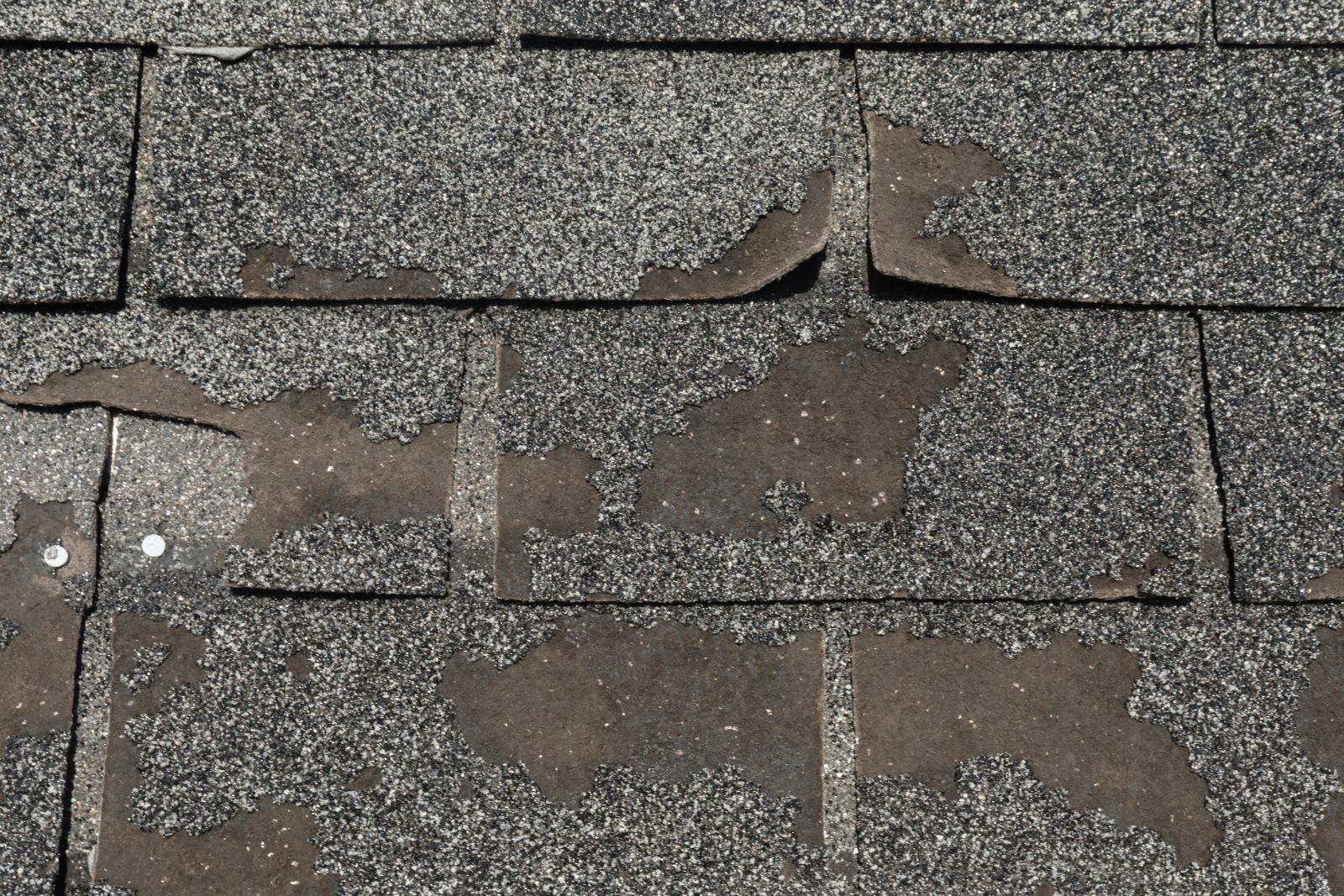 Locke Tight Roofing Systems Images